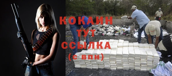 хмурый Аркадак