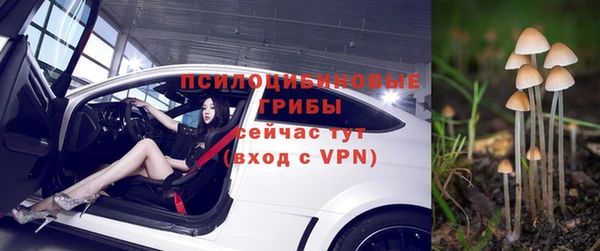 2c-b Белокуриха