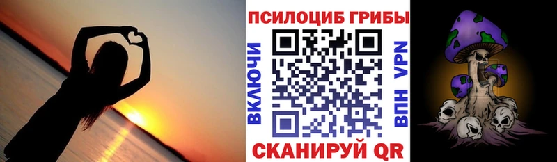 Купить где  Пионерский  Галлюциногенные грибы Cubensis 
