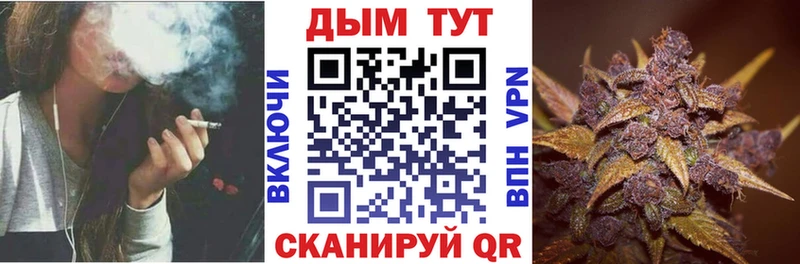 Бошки Шишки конопля  Купить  Пионерский 